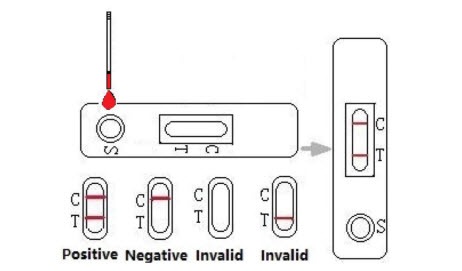 HSV 2 Igg Test Herpes Simplex Virus 2 Antibody Testing