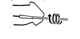 Collecting Specimen For Male Patients