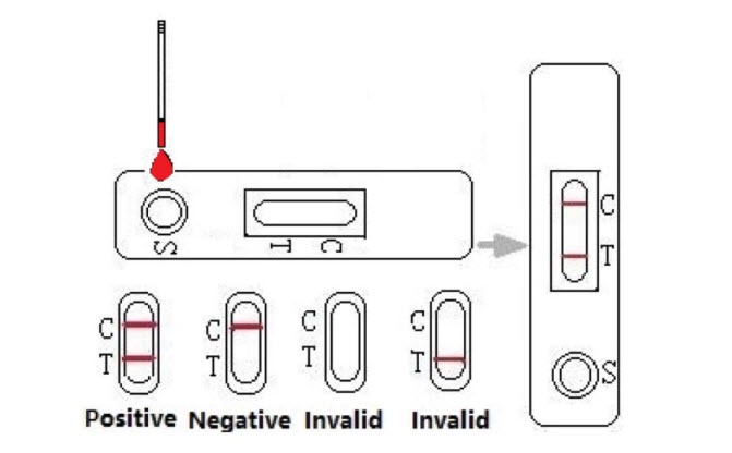 HSV 2 IgG Home Use Rapid Test Kit Results