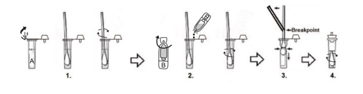 Test Procedure Chlamydia Test Kit