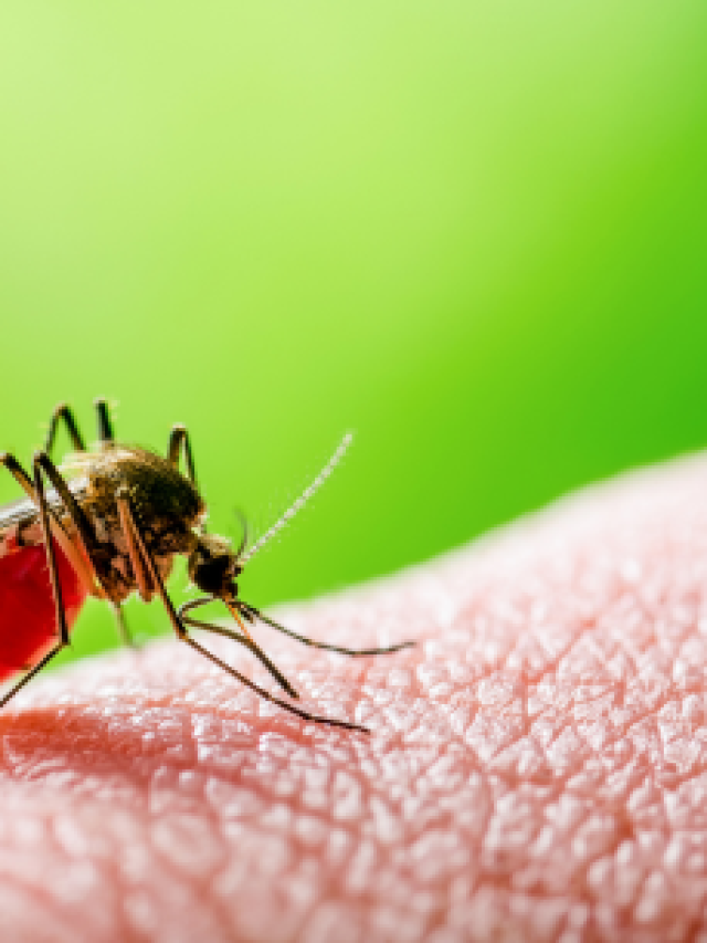 malaria test kit