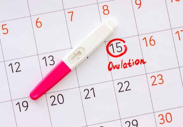 Ovulaation test strip suppliers