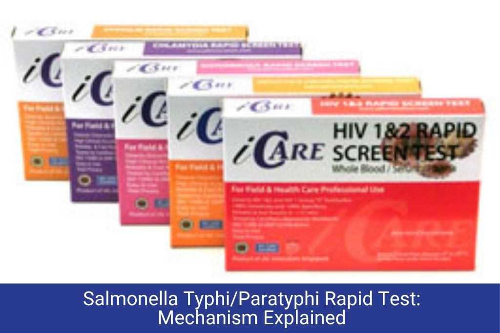 iCARE LH Ovulation Rapid Test Kits